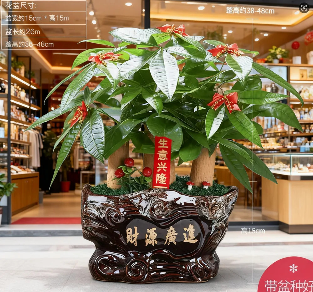 绿洲绿植·15